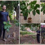 Chandan Kumar planting trees on his birthday