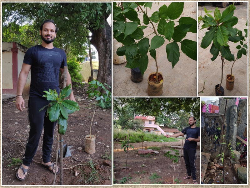 Chandan Kumar planting trees on his birthday