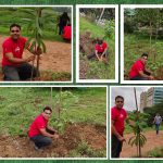 Tree plantation at Soulkere lake - Good Great Things