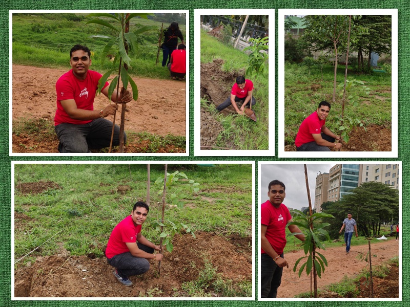 Tree plantation at Soulkere lake