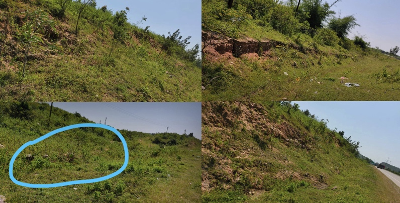 Tree Plantation by a nature lover alone in one of the dry city of Madhya Pradesh